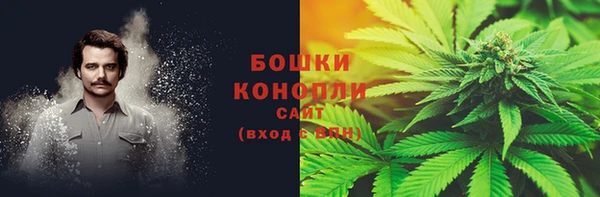ПСИЛОЦИБИНОВЫЕ ГРИБЫ Верхнеуральск