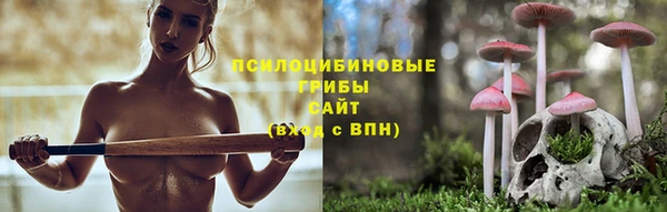 a pvp Верея