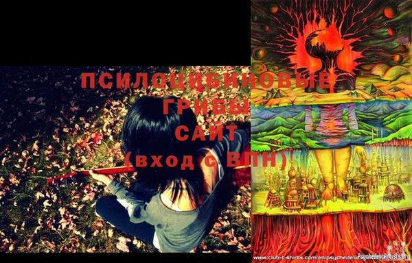 стаф Слюдянка