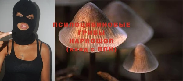 ПСИЛОЦИБИНОВЫЕ ГРИБЫ Верхнеуральск