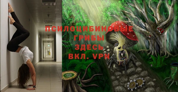 ПСИЛОЦИБИНОВЫЕ ГРИБЫ Верхнеуральск
