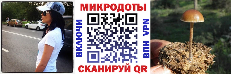 Псилоцибиновые грибы GOLDEN TEACHER  даркнет сайт  Камешково 