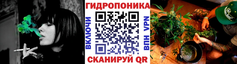как найти наркотики  Камешково  Конопля планчик 